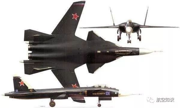 苏-47再度亮相 专家：俄前掠翼战斗机项目或“复活”